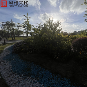 日本gogo亚洲高清大胆
